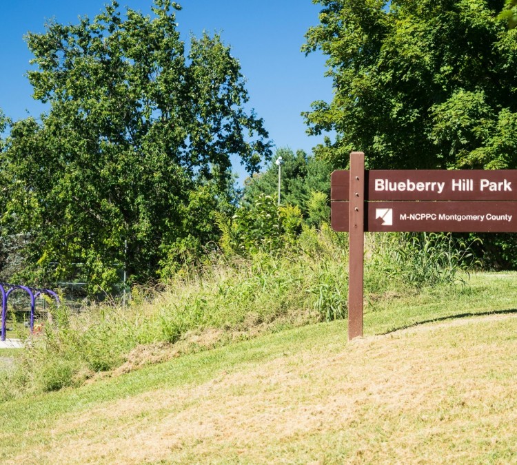 Blueberry Hill Local Park (Derwood,&nbspMD)
